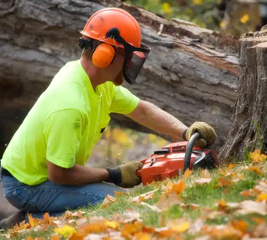 tree services Truman